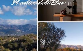 Il Calice dell'Etna